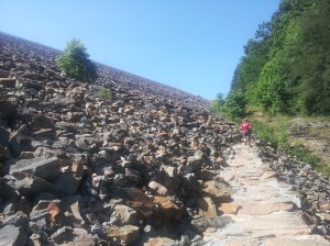 One of the things I really wanted to take a picture of last time! Stopped to do it this time and glad I did.