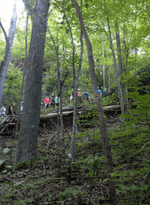 Here we are all jammed up!