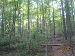 Such a scenic course!