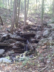 It was pretty and I was alone ;)